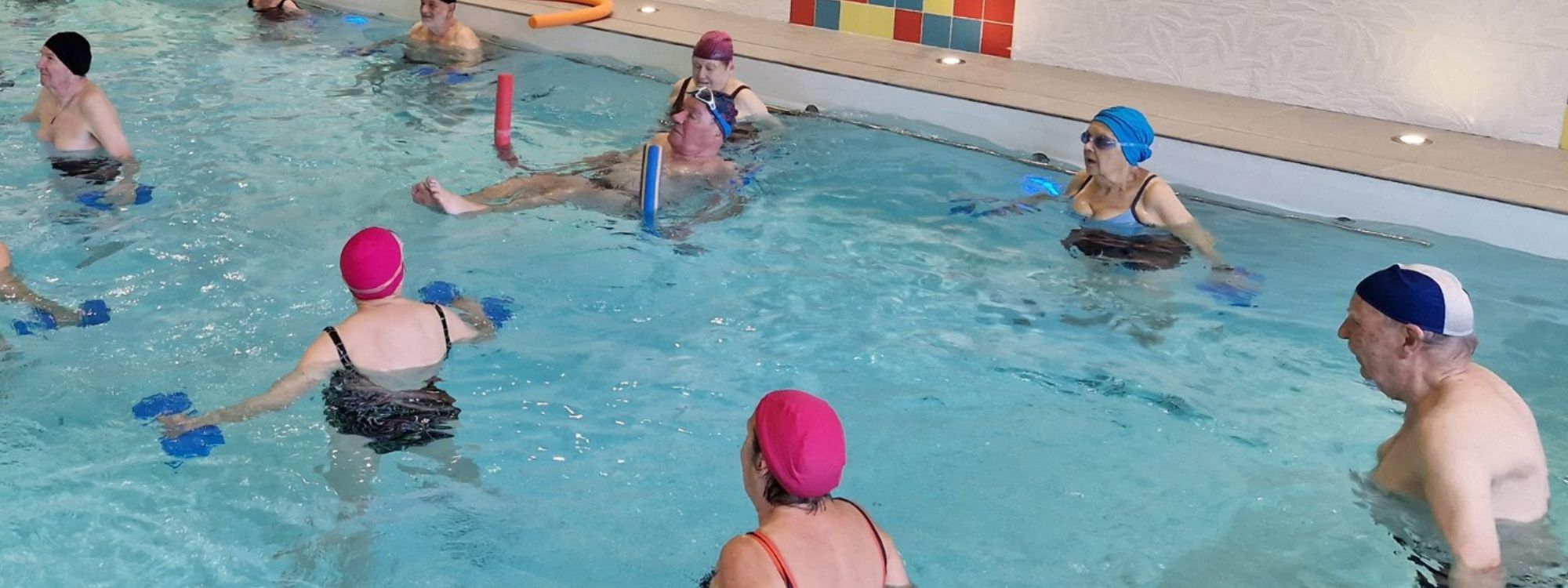 Images vitrine site des olympiades (7)